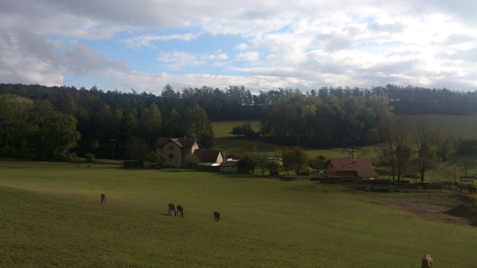 Podzimni idyla na jelení farmě Nové Hrady