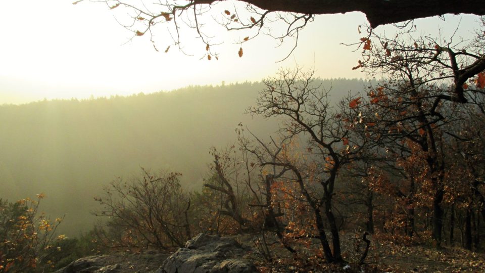 Vyhlídka Kozí bouda nad Berounkou