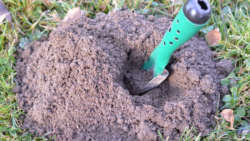 3. Pro rozbor půdy použijeme zeminu z hloubky asi 20 cm, vždy se řídíme návodem od výrobce