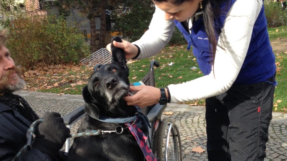 Veterinářka Veronika Krepsová očkovala v Budějovicích psy bezdomovců