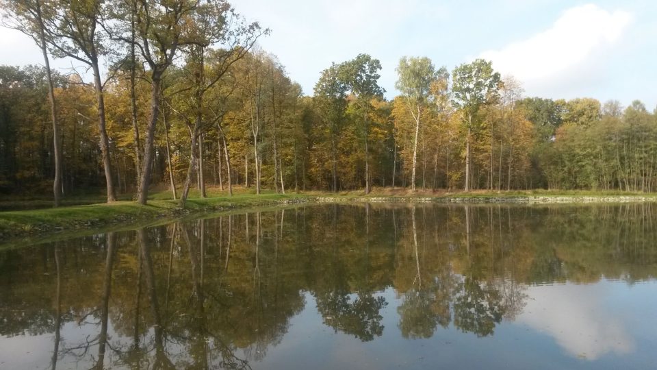 Obnovené rybníky