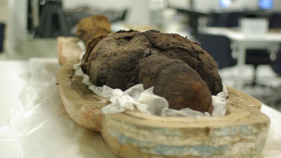 Dřevěná rakev s mumií, podle restaurátora Ísy Zídána ji objevili čeští egyptologové v Abú Síru
