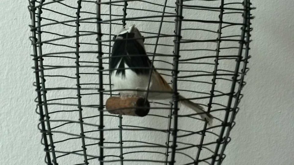 Výrobky drátenic ze Starých Těchanovic na Opavsku Výrobky drátenic ze Starých Těchanovic na Opavsku