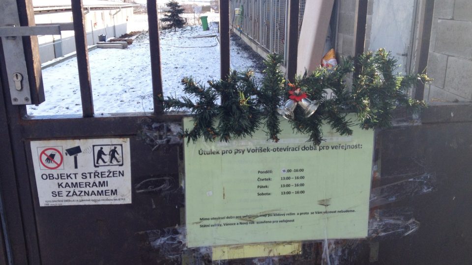 Psí útulek v Čechách pod Kosířem Psí útulek v Čechách pod Kosířem