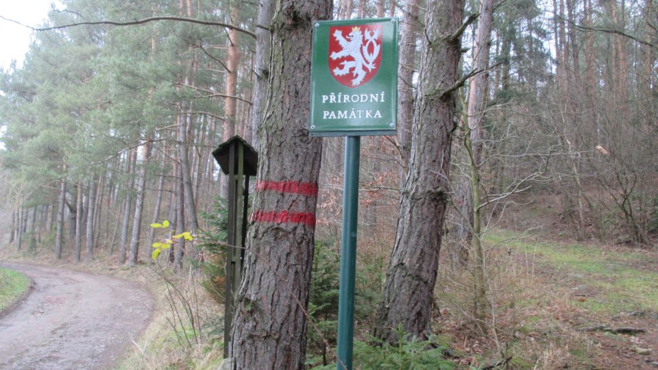 Jalovcový les najdete díky označení přírodní památky