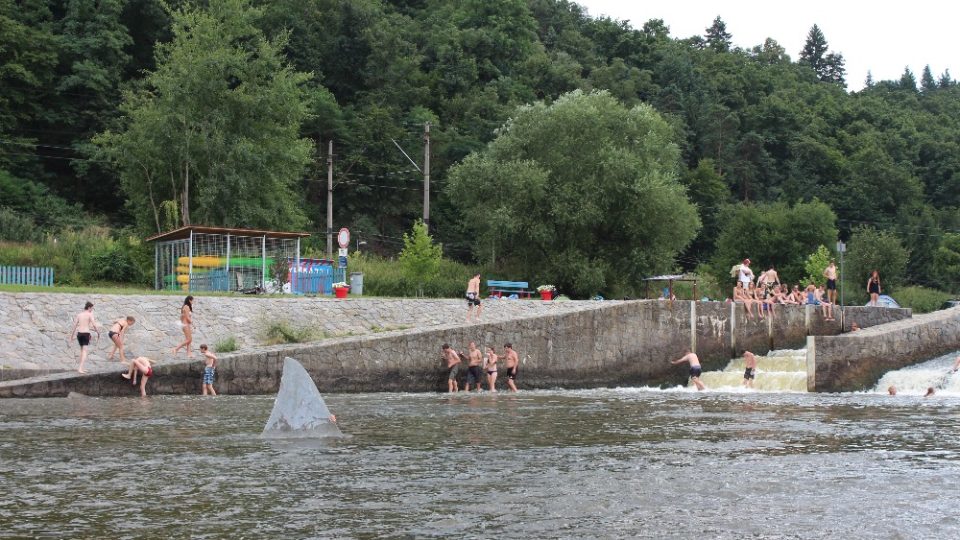 Dvoumetrová žraločí ploutev měla podle záměru umělců zdobit koryto řeky Berounky u Dobřichovic. Plastika vznikla v rámci sympozia Cesta mramoru