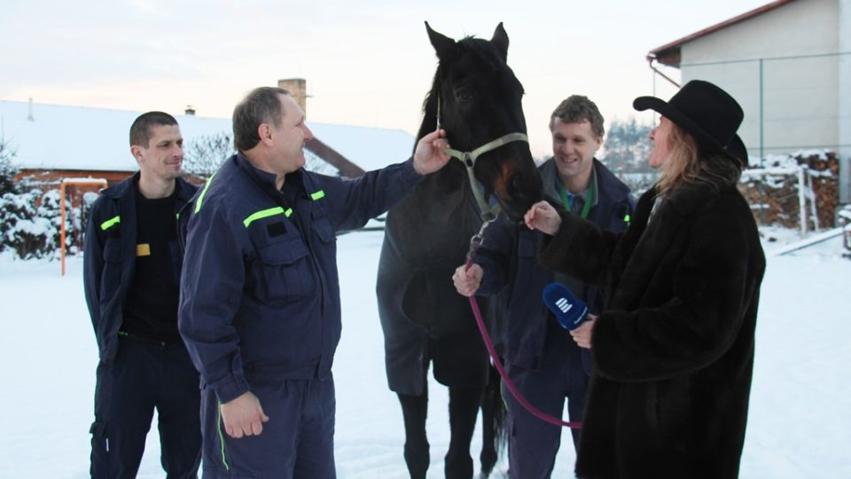 SDH Dobronice bojuje v soutěži Dobráci roku. Hasiči se starají o koně Manuse