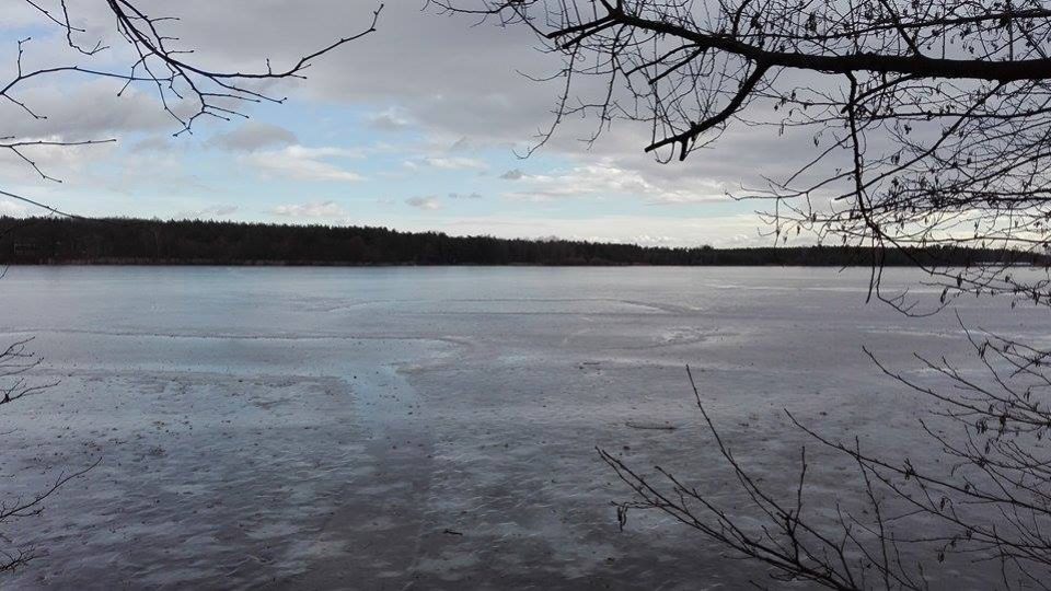 Pohled na zamrzlý rybník Buňkov