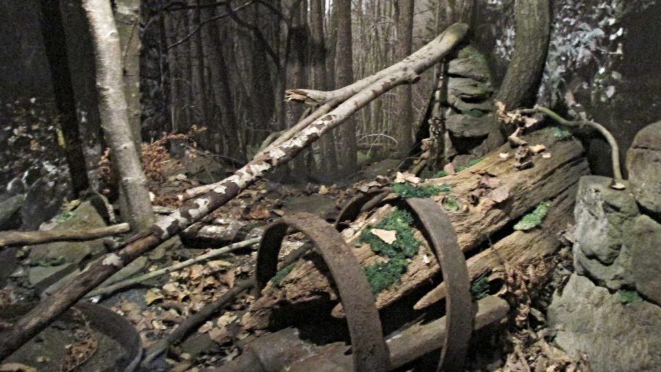 Zaniklé vesnice patří k přírodě Českého lesa stejně jako klid