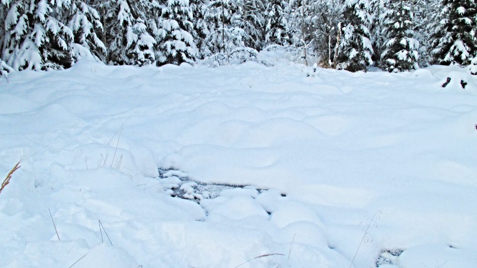Bahenní mofety schované pod sněhem