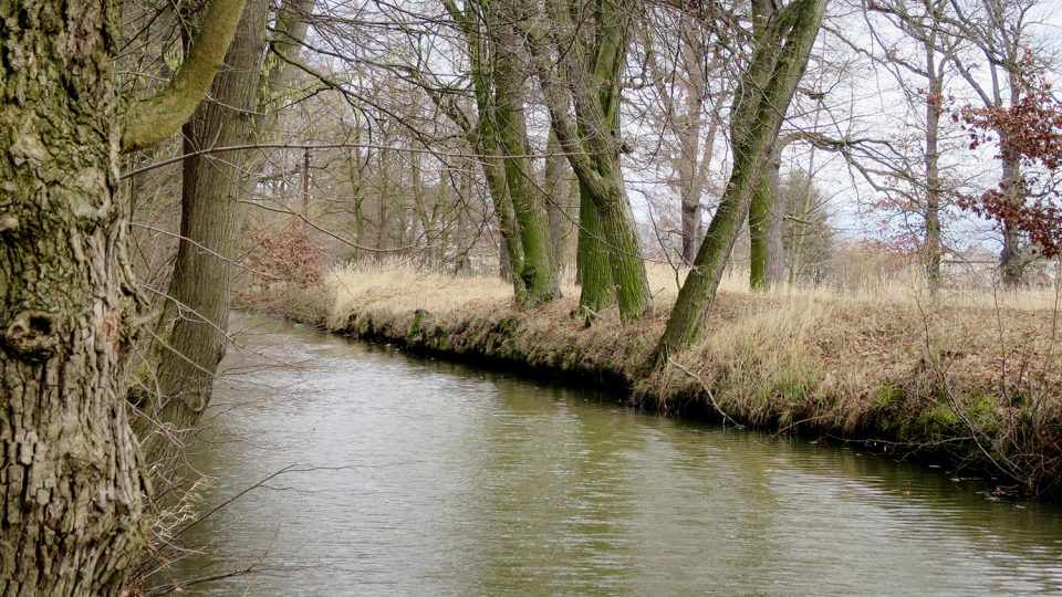 Opatovický kanál u bohdanečských sádek