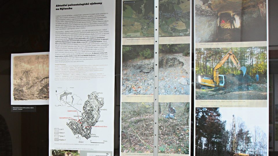 Informace k aktuálnímu paleontologickému výzkumu na Nýřansku