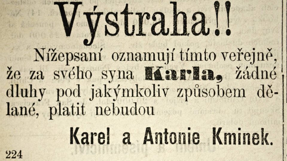 Také Plzní se přehnala vlna úpadků továrních podniků a finančních ústavů, které s sebou často strhávaly řadu drobných střadatelů a investorů, stejně jako dělníky přicházející o práci