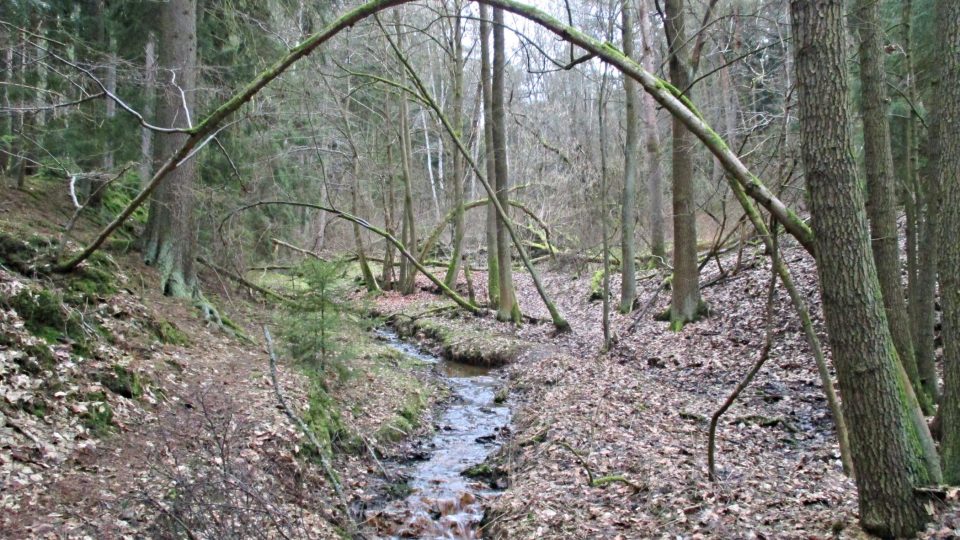 Údolí Dražeňského potoka je prošpikována dnes ztracenými štolami