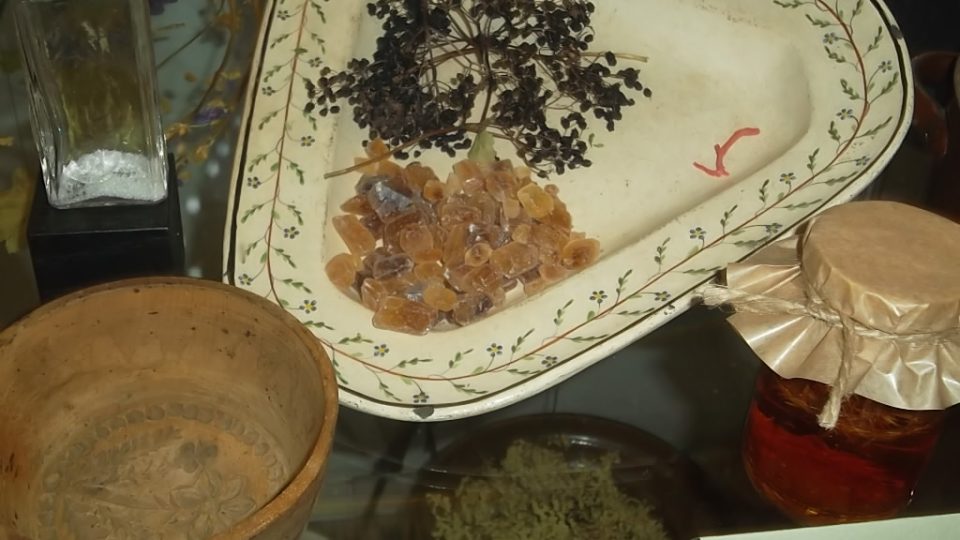 Výstava Léčivá síla a moc rostlin v tradiční kultuře Novojičínska