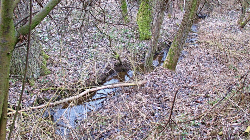 Roku 1771 rozvodněný potok Kamenná odkryl keltské bohatství