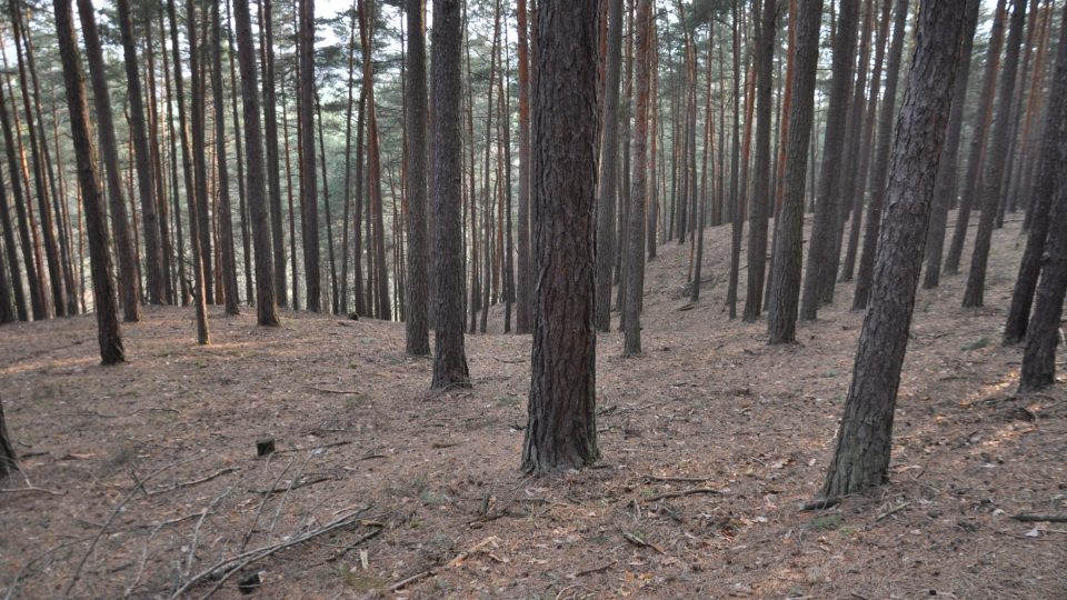 Krajina proměněná dávnou těžbou uhlí