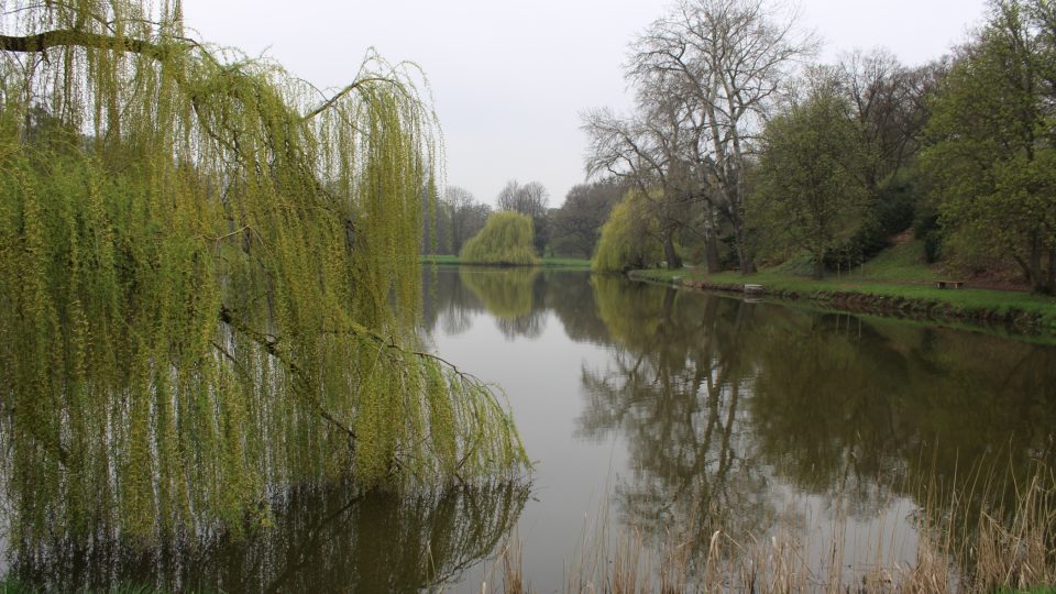 Velký rybník v parku v Čechách pod Kosířem 