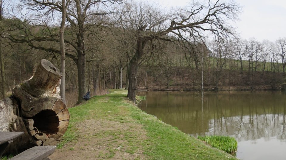 Blízko hráze berou trofejní sumci