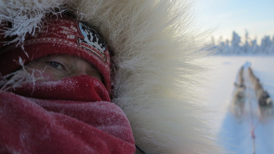 Musherské selfie odvážné Jany Henychové a jejího spřežení