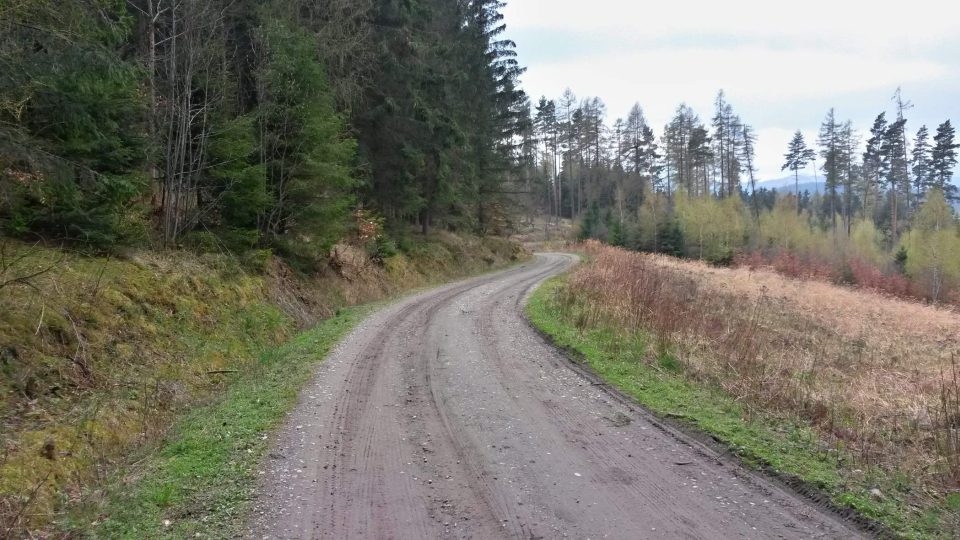 Terén naučné stezky je opravdu nenáročný a zvládnou ho i rodiny s nejmenšími dětmi