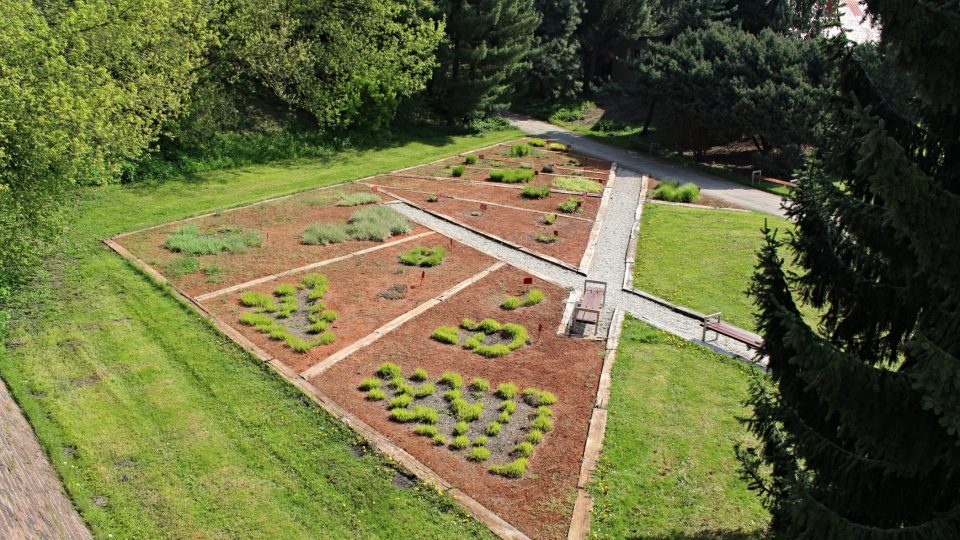 Botanická zahrada a rozárium v Olomouci 