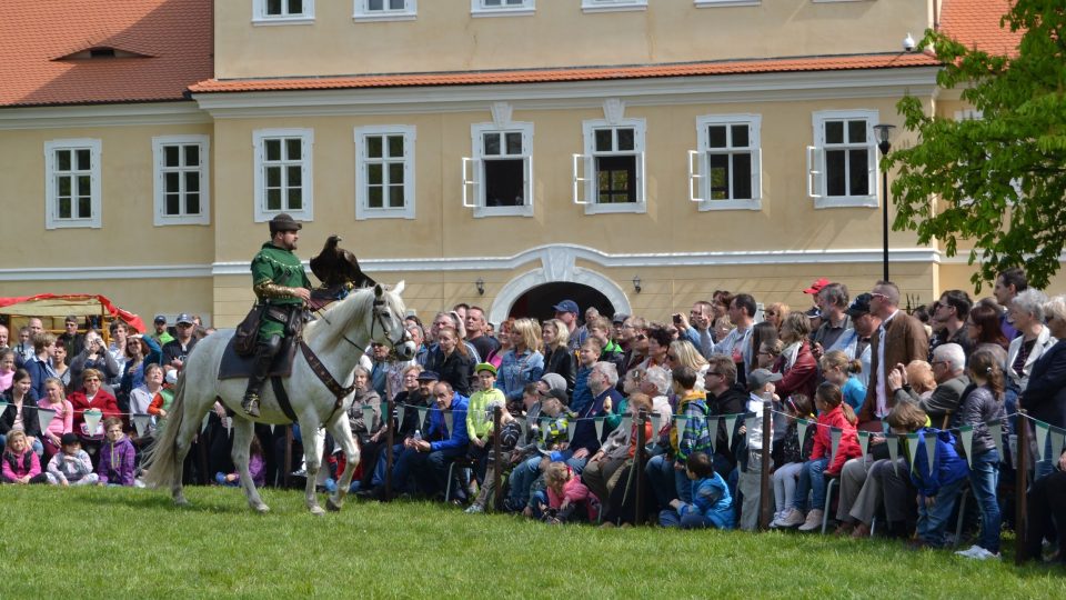 Valdštejnské slavnosti v Litvínově - sokolník