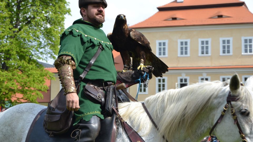 Valdštejnské slavnosti v Litvínově - sokolník