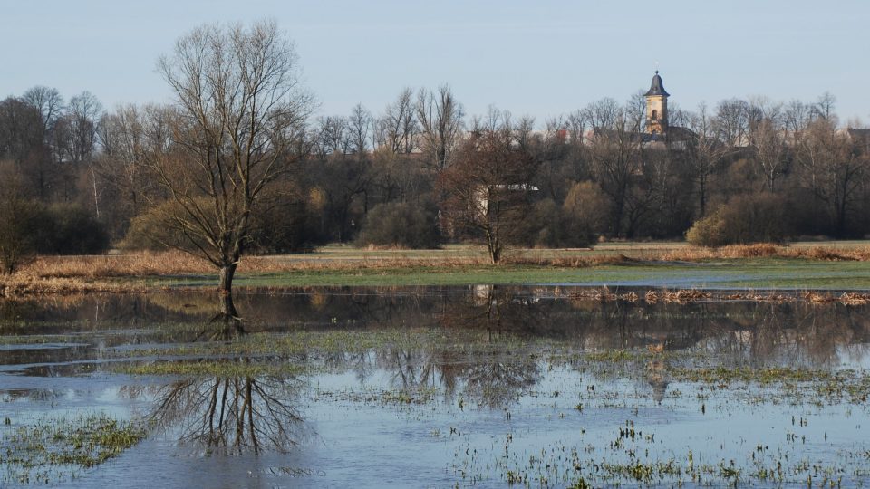 Zatopené louky pod Josefovem