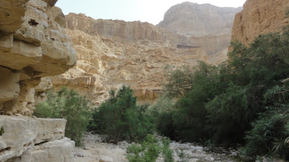 Oáza En Gedi na břehu Mrtvého moře