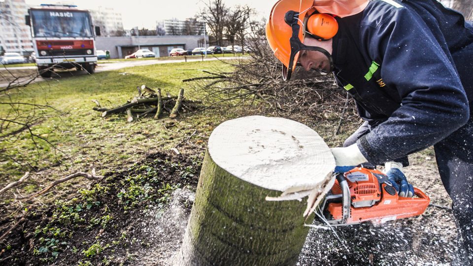 Svítkovští hasiči při kácení stromů v Pardubicích