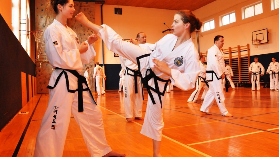 Třeboňský oddíl Taekwon-do má čerstvou vícemistryni Evropy. Čtrnáctiletá Anežka Čurdová (vpravo) si stříbrnou medaili přivezla z řecké Soluně