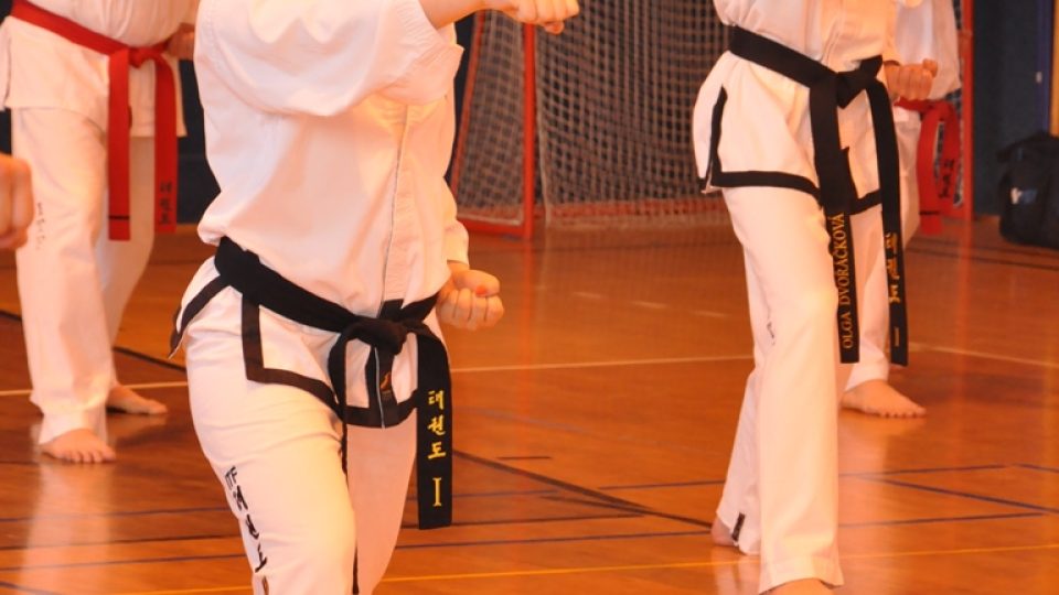 Třeboňský oddíl Taekwon-do má čerstvou vícemistryni Evropy. Čtrnáctiletá Anežka Čurdová (vlevo) si stříbrnou medaili přivezla z řecké Soluně