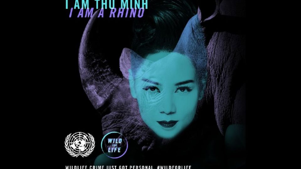 Populární vietnamská zpěvačka Thu Minh, která je tváří celosvětové kampaně OSN na záchranu nosorožců a dalších ohrožených druhů