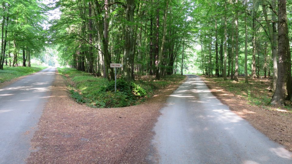 Lesnickým parkem na některých místech prochází cesty, vjezd je ale zakázán