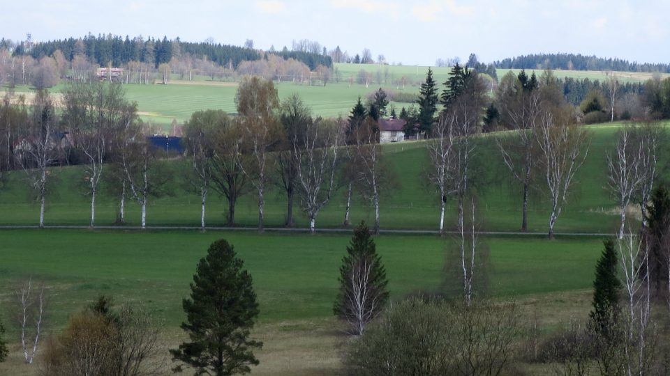 Pohled z Volákova kopce na březové aleje okolo Kameniček