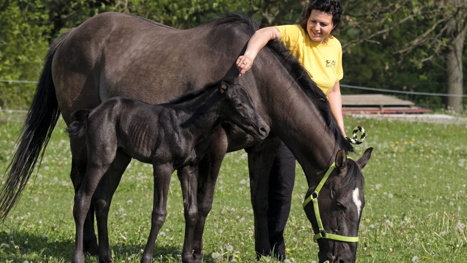 Marie Čiplová, chovatelka koní