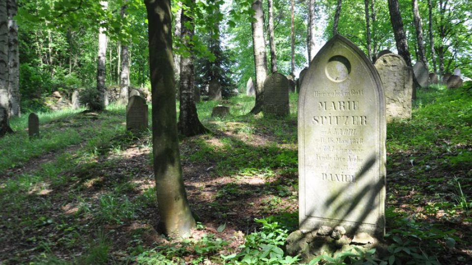 Polovina náhrobků na lesním židovském hřbitově u Dřevíkova je otočená na východ, druhá polovina na západ