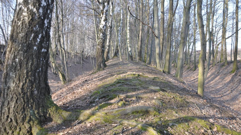 Nedaleko Nasavrk jsou obranné valy keltského oppida stále patrné