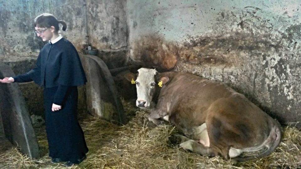 Postulantka Barbora krávy nazvývá Alžbětínská a Fantiškánská