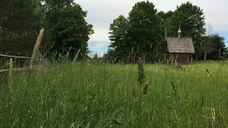 Kolem domu Jevgenije Pavlovny je mnoho luk