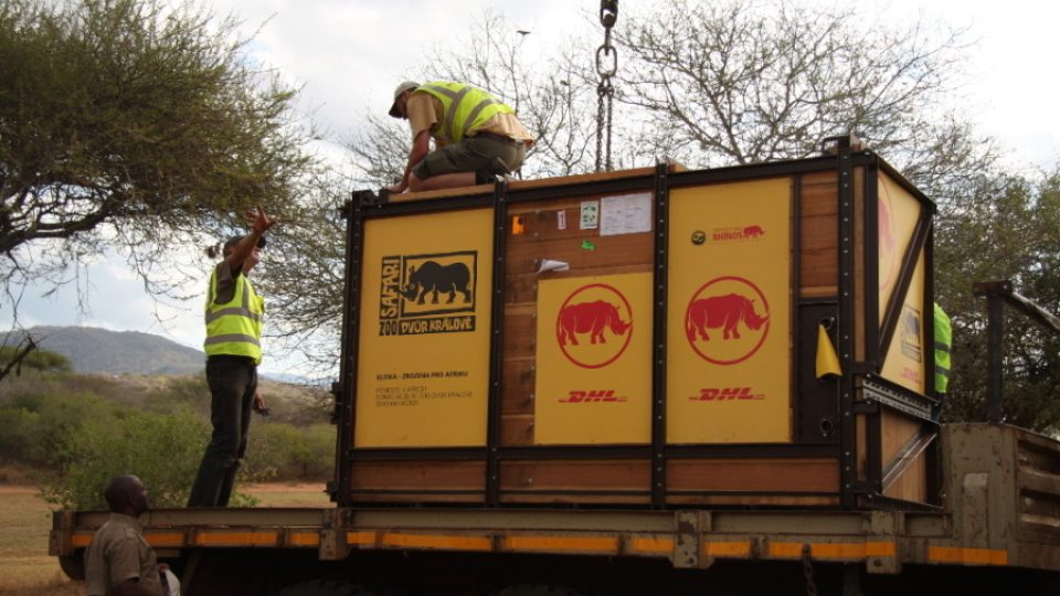 Transport nosorožcí samice Elišky do africké Tanzanie