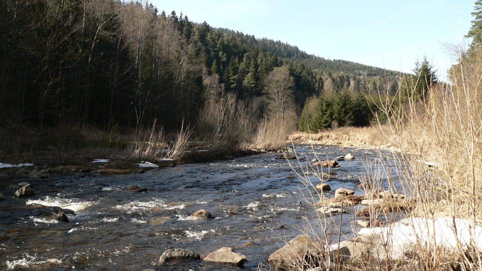 Blanice je povětšinou klidnou řekou