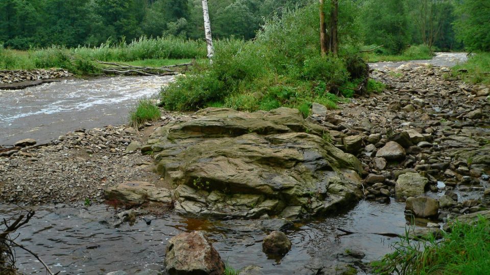 Řeka Blanice je také významným tokem s pohledu ochrany kriticky ohrožené perlorodky říční