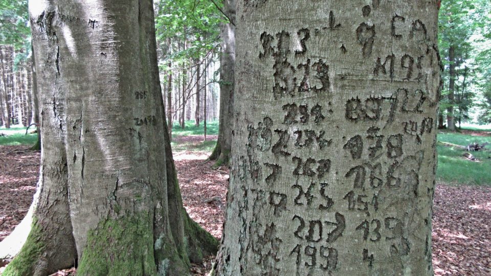 Dlouhé chvíle si tu v minulosti krátili vojáci střežící hranice