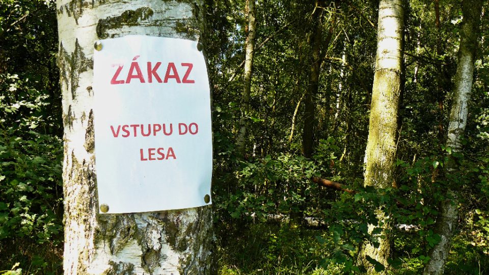 Likvidace kalamity v Oknech na Českolipsku - ZÁKAZ VSTUPU do lesa