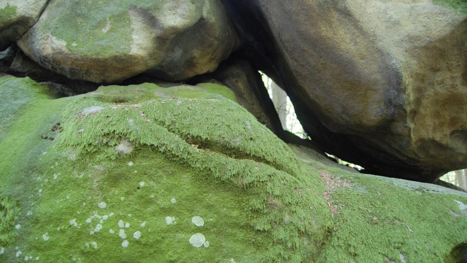 Detaily kamenů