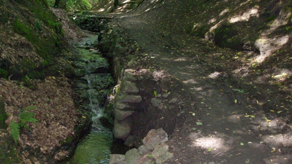 Základní tvar dává údolí Stříbrnický potok, který se několika zákruty zařezává do stráně zarostlé zejména duby, habry a jasany
