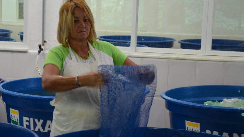 Rosa vyklepává umělohmotné pletivo, aby nepřišel žádný z mlžíků nazmar