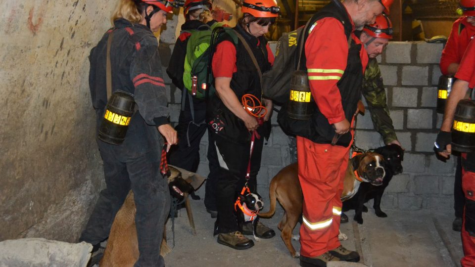Záchranářští psi cvičili v hlubinném dole